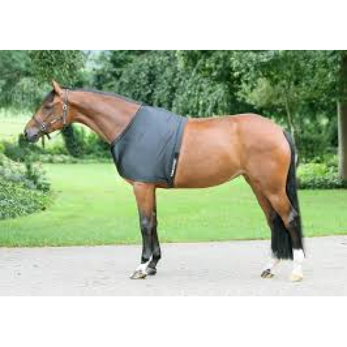 Back On Track Horse Shoulder Guard / Anti Rub Vest